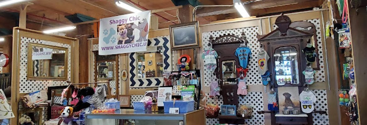 Flea Market at the Crossing