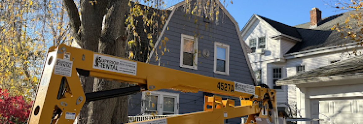 Martinez Tree Work CT