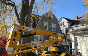 Martinez Tree Work CT