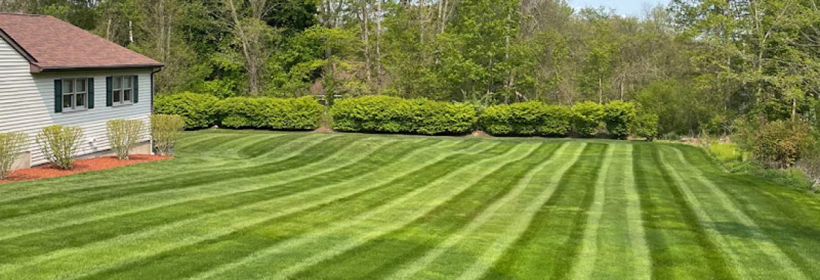 Turf Wizards Lawn Care LLC