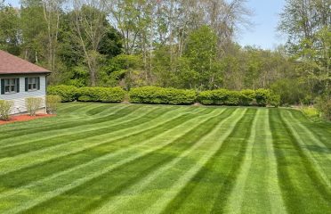 Turf Wizards Lawn Care LLC