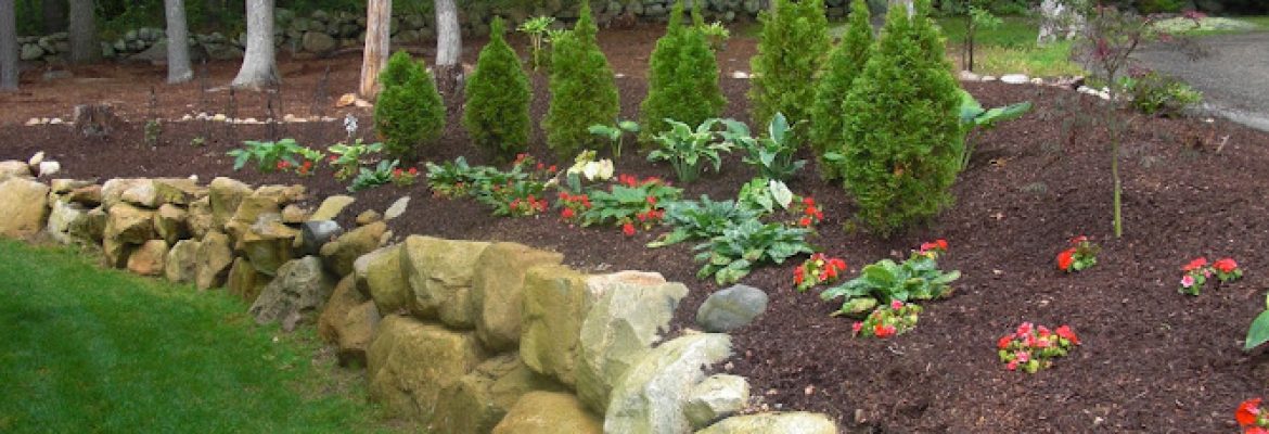B&M Landscaping, LLC