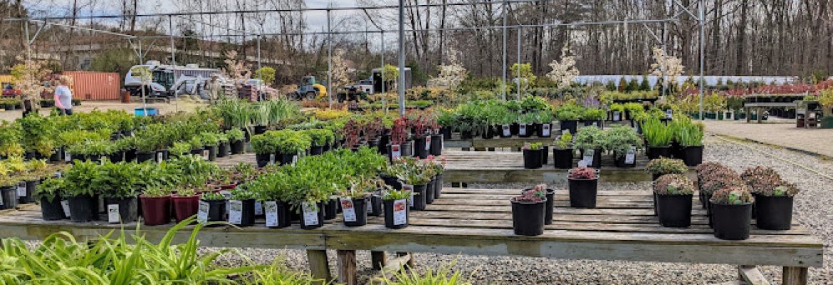 Plant Lot Farms