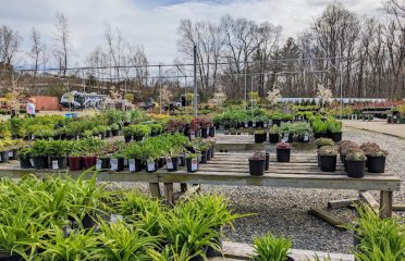 Plant Lot Farms