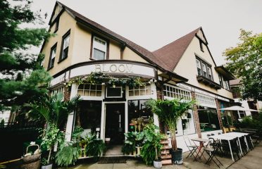 BLOOM Inn