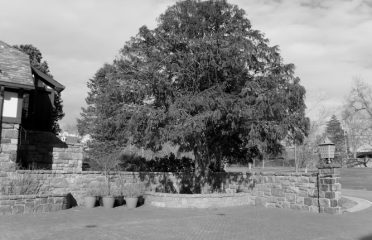 Rowayton Library