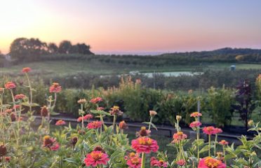 7 Acres Farm