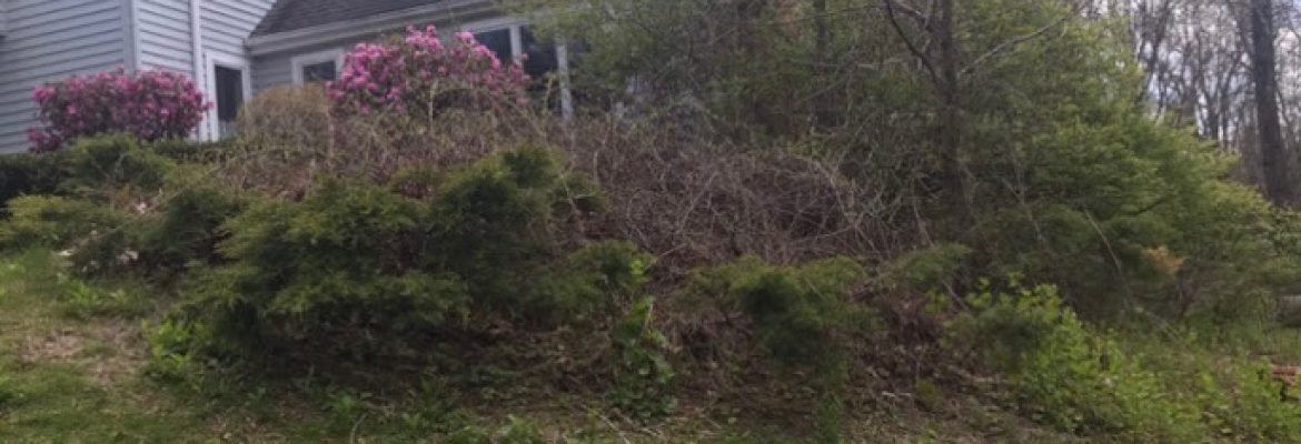 JSK Landscaping