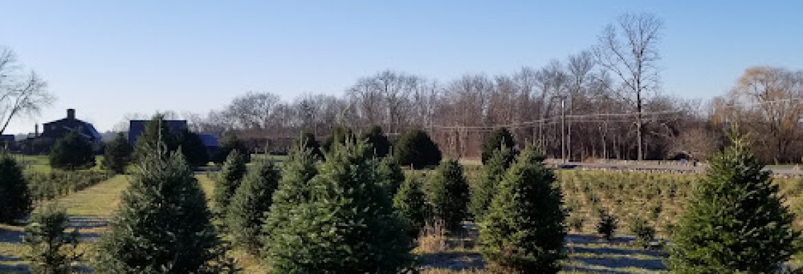 Allen Hill Farm