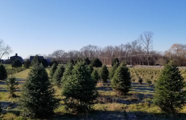 Allen Hill Farm