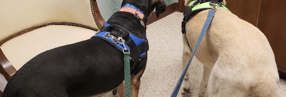 Farmington Animal Hospital