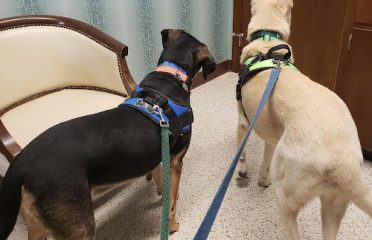 Farmington Animal Hospital
