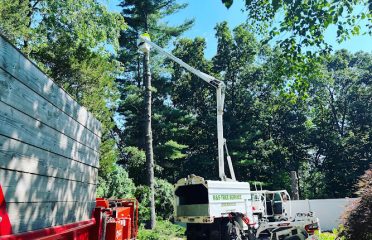 R & S Tree Service