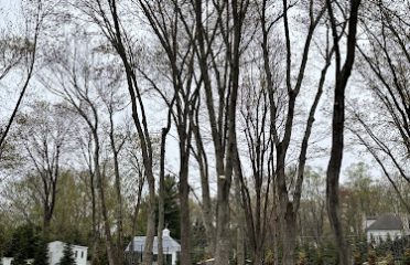 Cench Tree Service