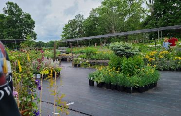 Ballek’s Garden Center