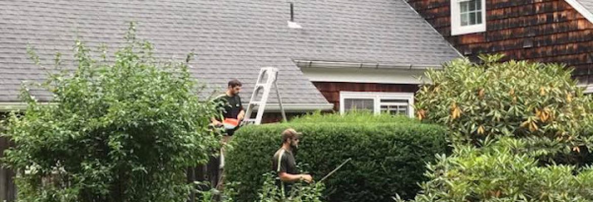 KDF Tree and Landscape LLC