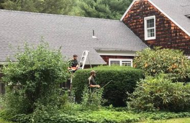 KDF Tree and Landscape LLC