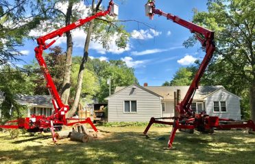 American Landscaping Supreme (Tree Service)