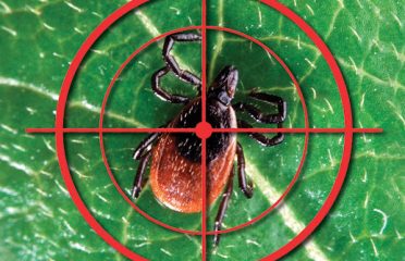 Tick Ranger