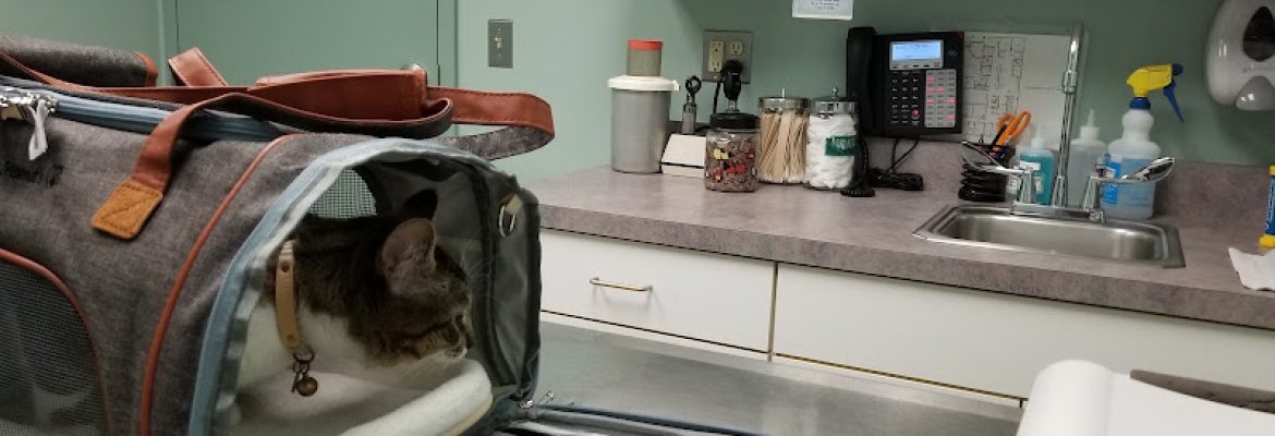 Suffield Veterinary Hospital