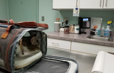 Suffield Veterinary Hospital