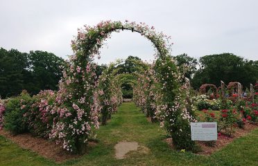 Friends of Elizabeth Park