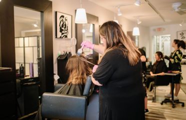Salon 1560