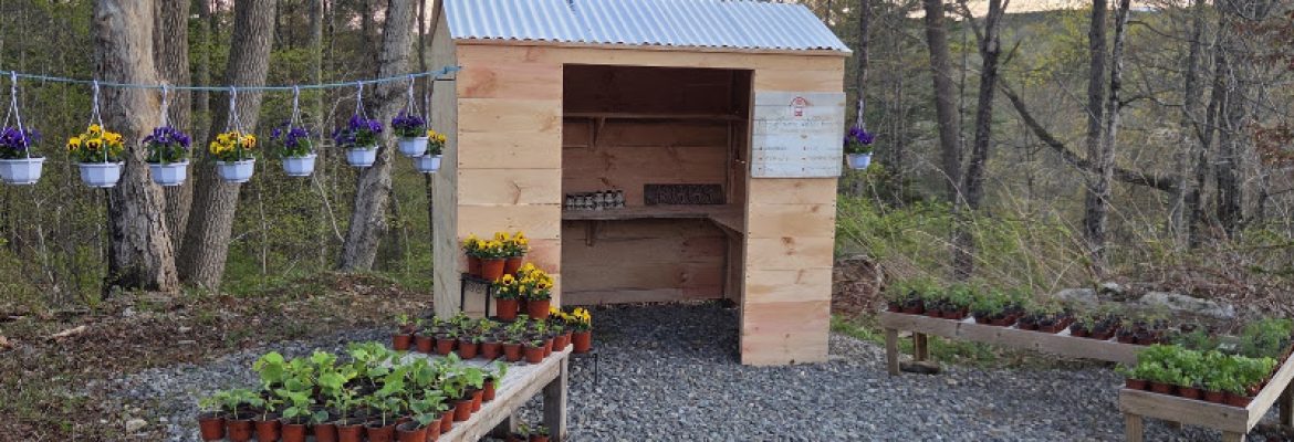 Mayflower Hill Farm