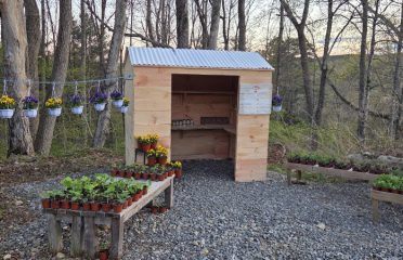 Mayflower Hill Farm