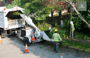 Black Rock Tree Services