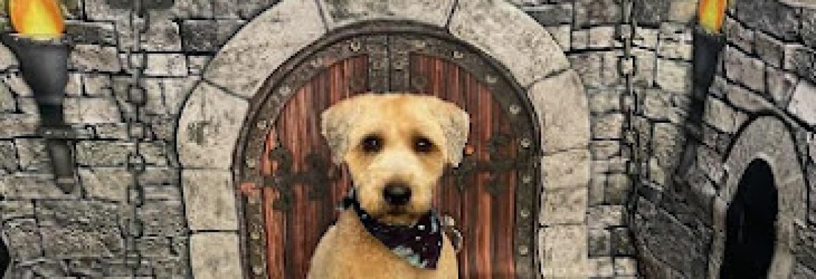 Dog Tales