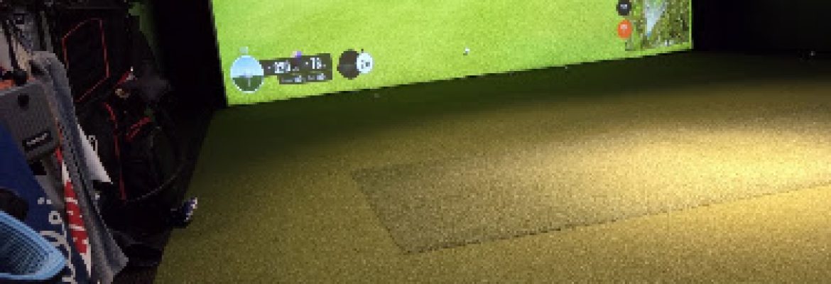 Bear’s Virtual Golf