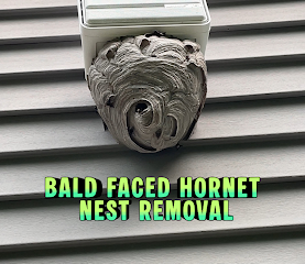 Expello Pest Control