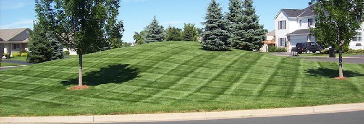 A+ Landscape and Design, LLC