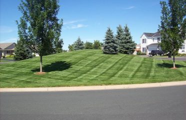 A+ Landscape and Design, LLC
