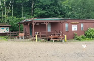 June Norcross Webster Scout Reservation