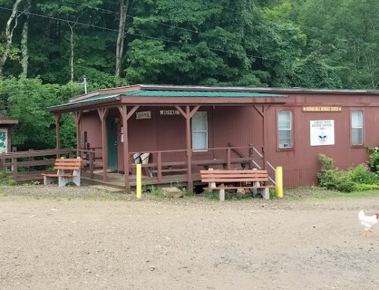 June Norcross Webster Scout Reservation