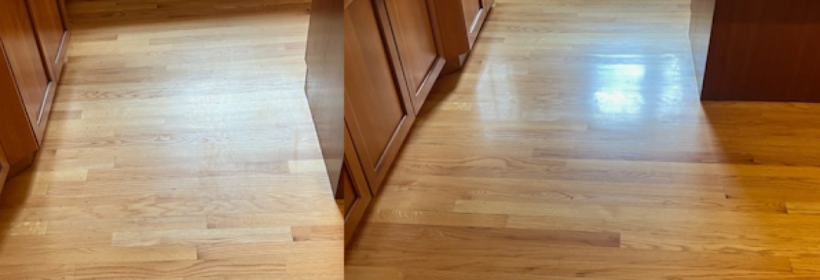 Ameri-Best Carpet Cleaning