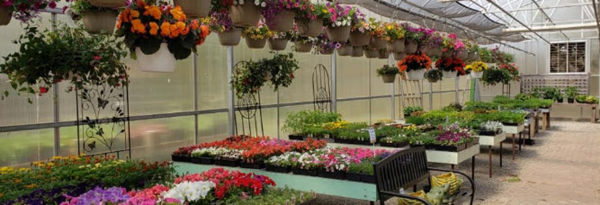 Town & Country Nurseries