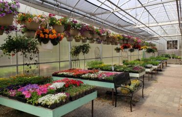 Town & Country Nurseries