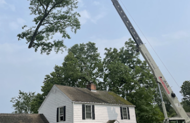 Western Connecticut Tree Experts