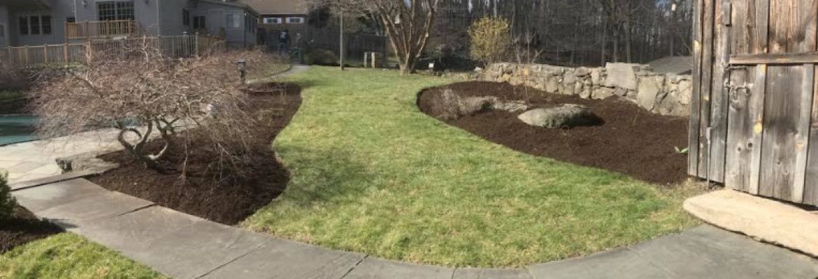 Antonio Landscaping Services LLC