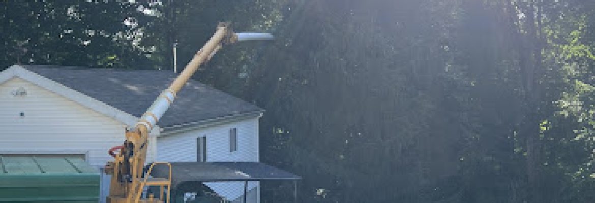 Turner Tree Services