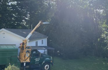 Turner Tree Services