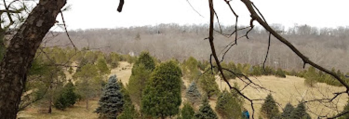 Christmas Hill Tree Farm