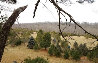 Christmas Hill Tree Farm