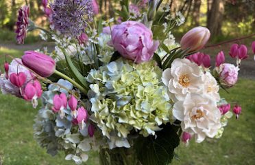 The Healing Garden Farm