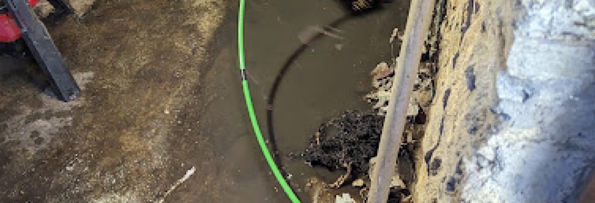 Arc-O-Rooter