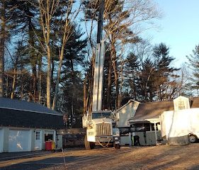 Hess Tree Removal