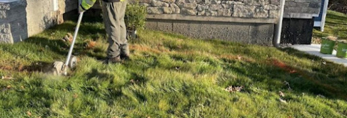 Colonel Landscaping